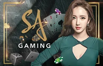 ค่ายเกม SA